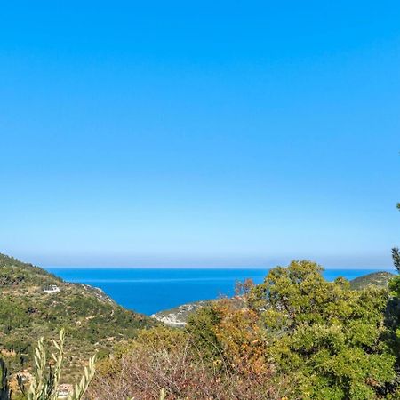 Villa Levanda Panormos  Экстерьер фото
